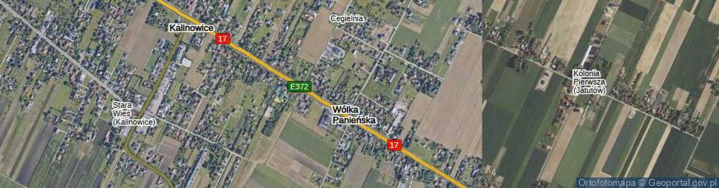 Zdjęcie satelitarne Wólka Panieńska ul.